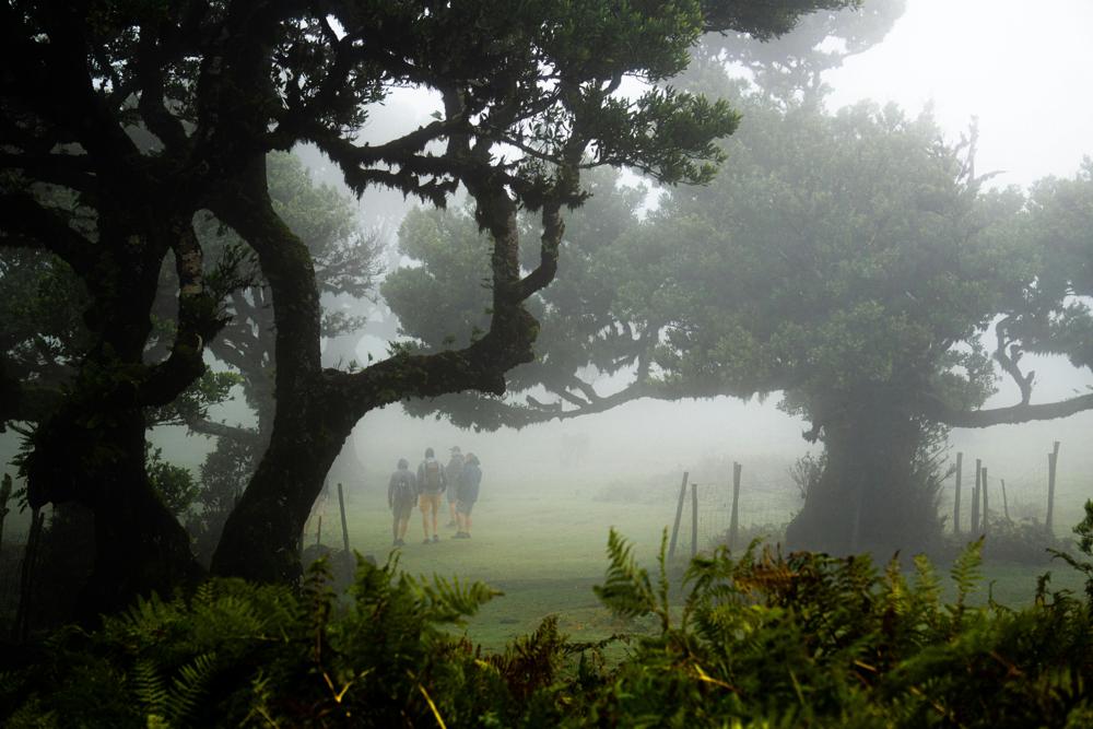 Outdoor recreation